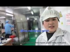 चिकित्सा उपकरण और औद्योगिक अनुप्रयोगों के लिए अनुकूलित पीईटी झिल्ली स्विच